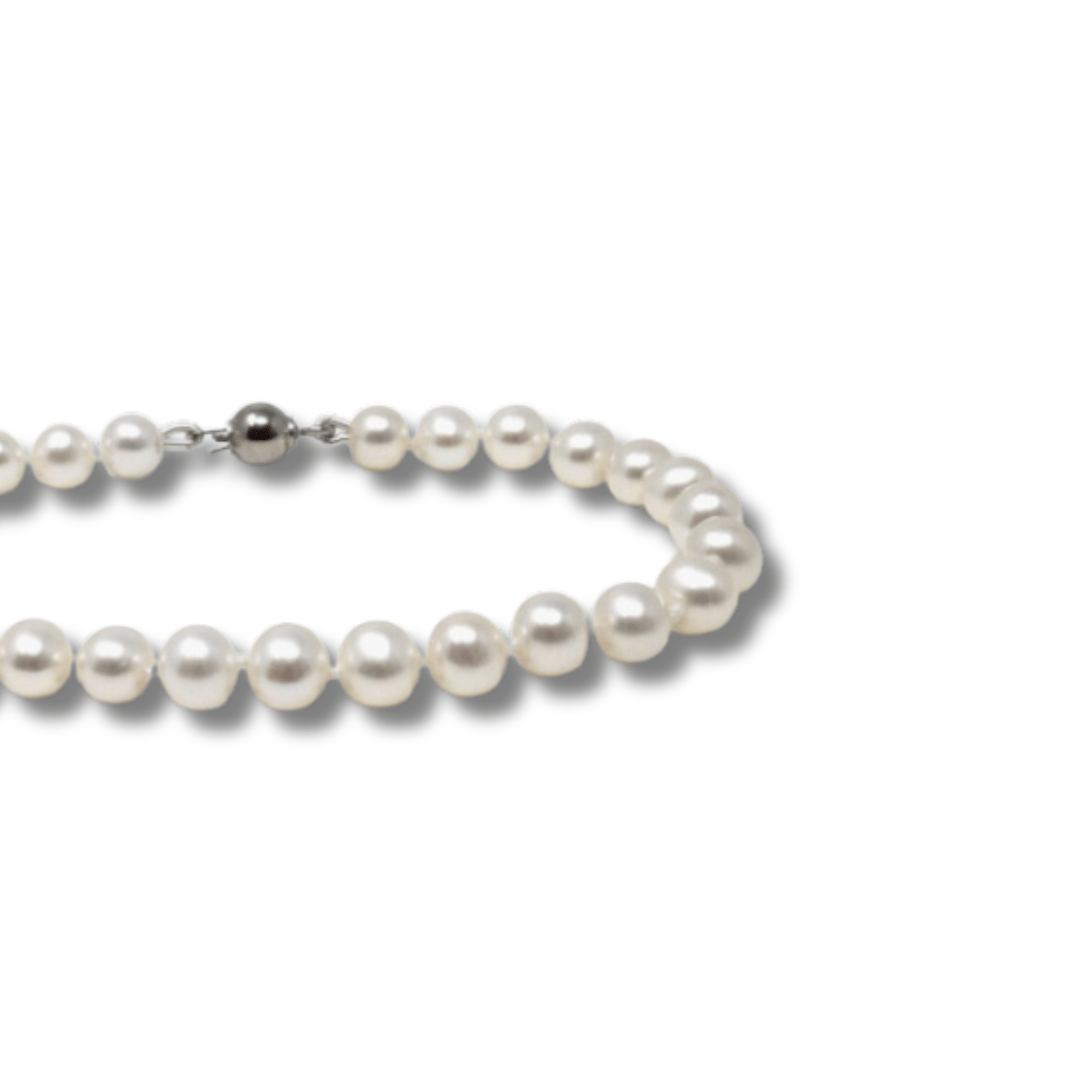 amy-collaramy-collarvarse-6529614 - Penelope Jewellery