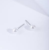 Pair of silver earrings on a light gray background